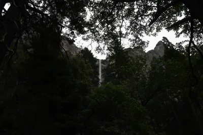 DSC_4596 (Large).JPG